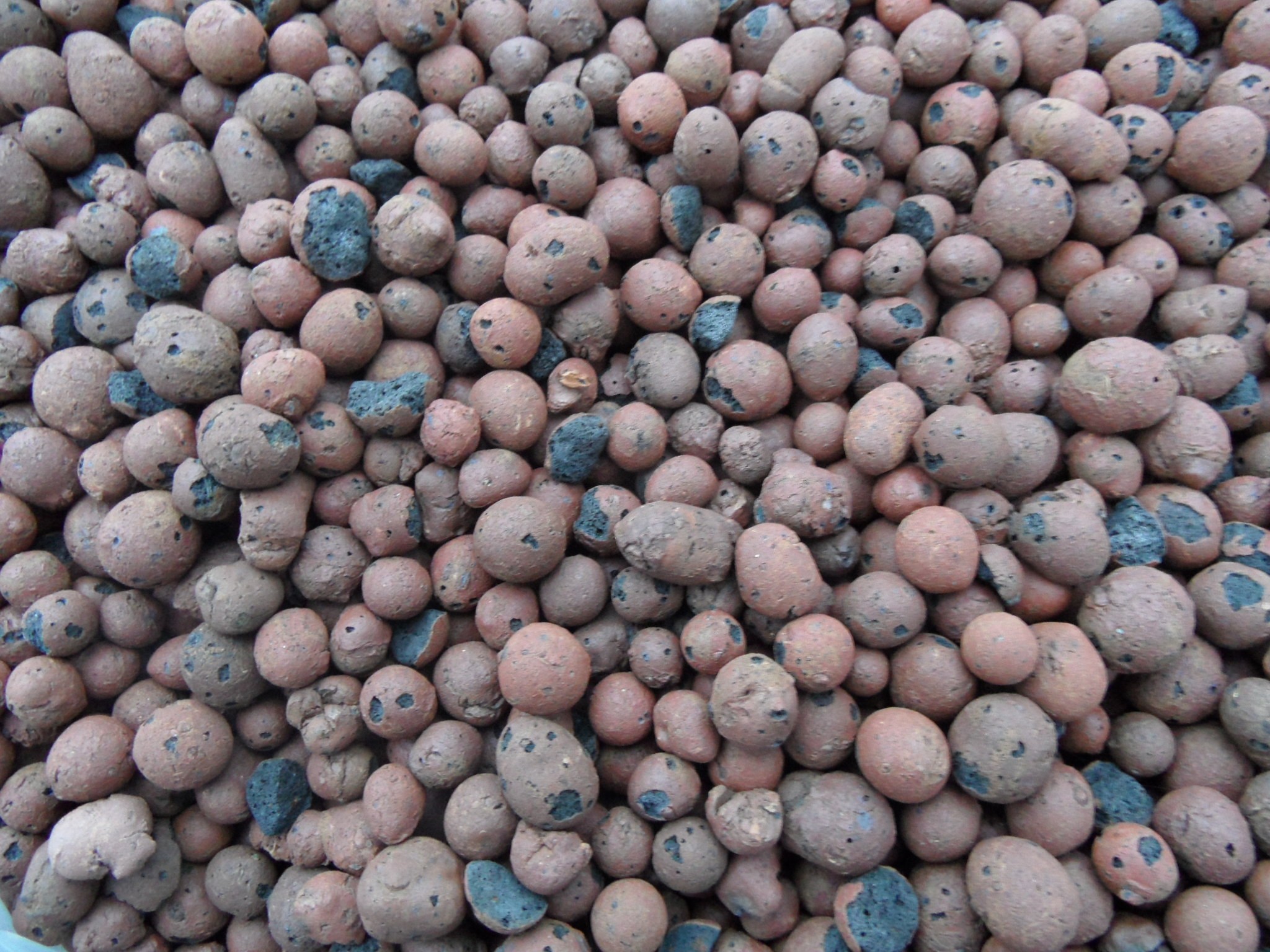 Cuxin Argile expansée à granulés de 8–16 mm Substrat pour cultures hors-sol